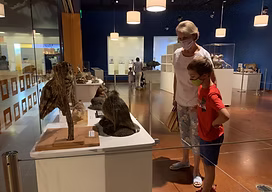 Fort Worth Museum of Science and History
